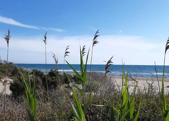 Au Petit Bonheur * Calvisson